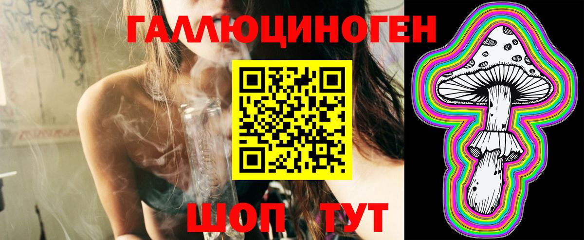 Псилоцибиновые грибы Psilocybine cubensis Мыски