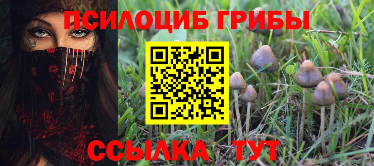 Галлюциногенные грибы Cubensis  Вход с VPN  Мыски 